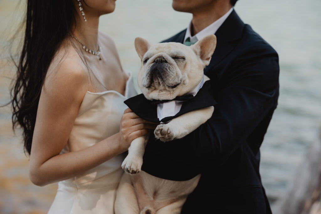 Rattlesnake Lake Elopement Dog Ashley Deans Photography Wedding Photographer Washington State